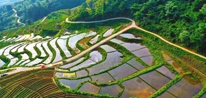 文章附图